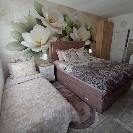Studio Lotos Belgrade Extérieur photo